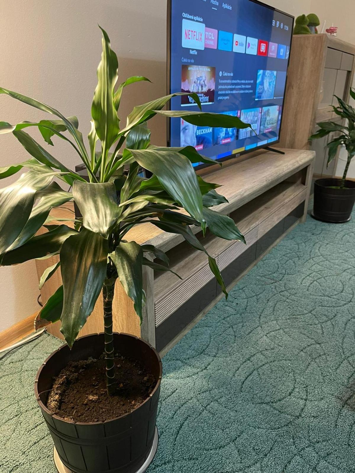 ברטיסלאבה Velky Apartman מראה חיצוני תמונה