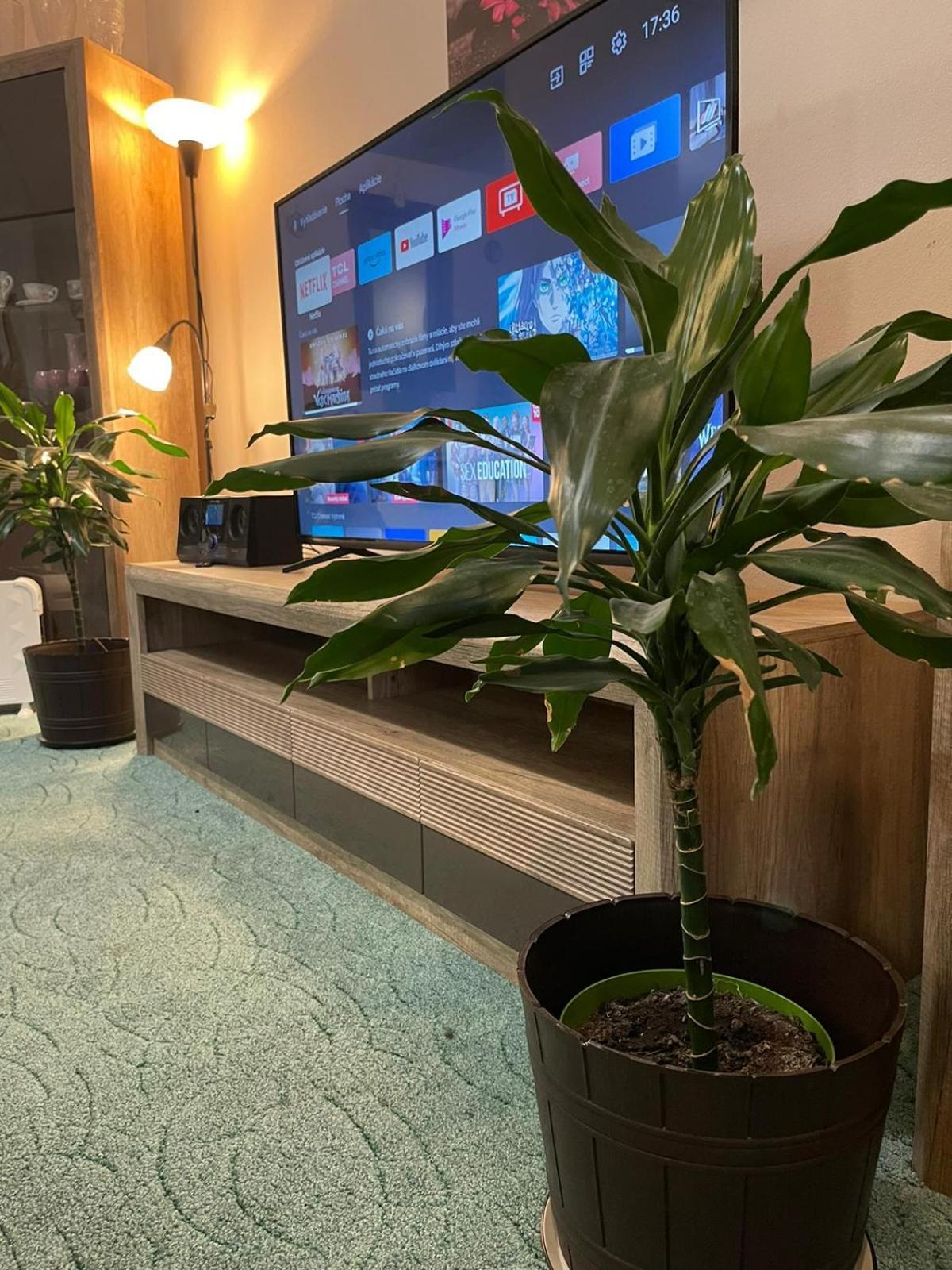 ברטיסלאבה Velky Apartman מראה חיצוני תמונה